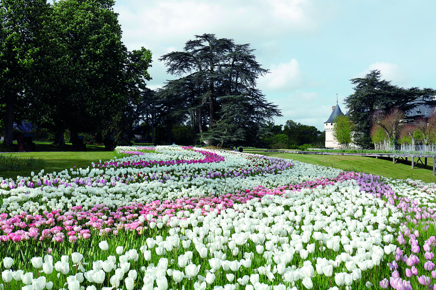 Domaine de Chaumont sur Loire - © Eric Sander - DR